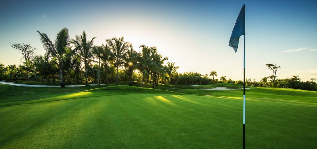 The Ultimate Florida Relocation Guide: From Finding a House to Feeling at Home